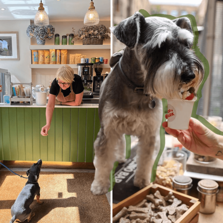 Best dog cafes in London