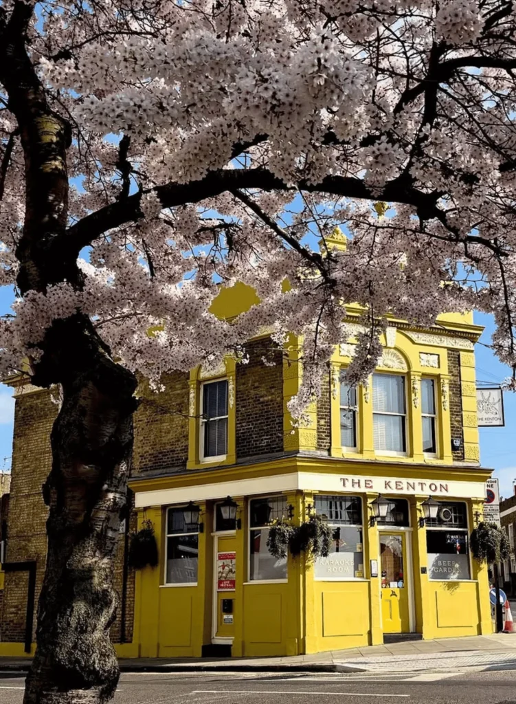 The Kenton Arms. Best pubs in Hackney