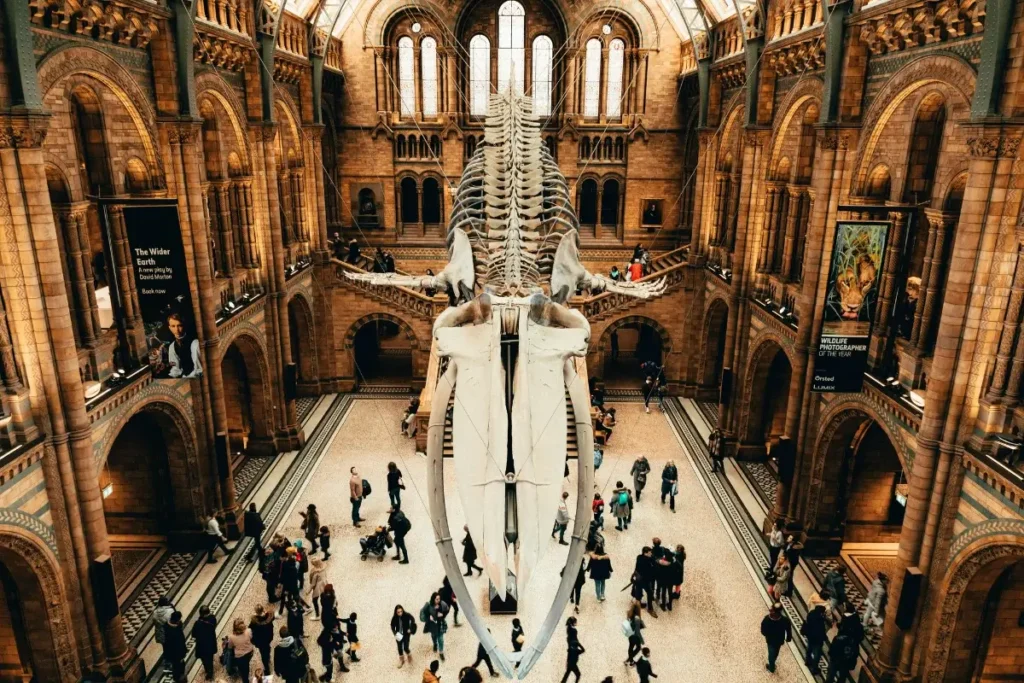 Natural History Museum, Cromwell Road, London, UK