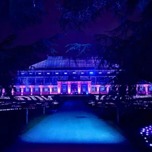 Christmas at Kew